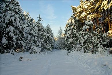 策略RPG游戏 《绯红的神约Echocalypse》Steam页面上线 5月发售